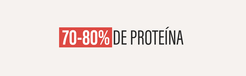 WHEY PRO CONCENTRATE 1KG – Proteína de Suero con Enzimas Digestivas | 4 Sabores whey protein a 5 1